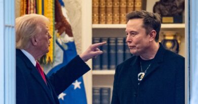 White House suggests Trump doesn't want Musk's xAI to have federal contracts