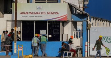 Wilmar Buys Billionaire Gautam Adani’s 20% Stake In Indian JV For $824 Million