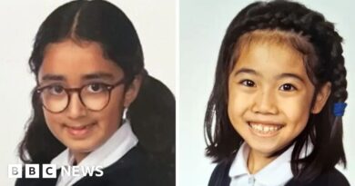 Wimbledon schoolgirls' death crash suspect re-interviewed by Met