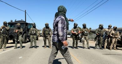 Worker dies following immigration raids on California cannabis farms