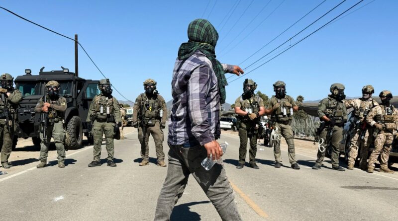 Worker dies following immigration raids on California cannabis farms