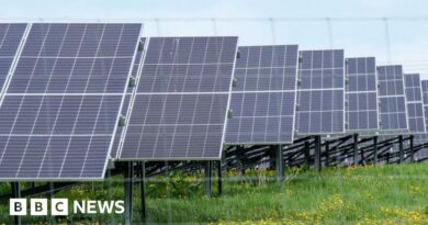 'Great British Energy solar panels' for schools were made in China