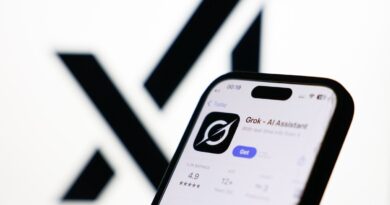 xAI and Grok apologize for ‘horrific behavior’ | TechCrunch