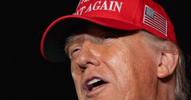 ‘I’ve never heard that’: Trump denies knowingly using anti-Semitic term