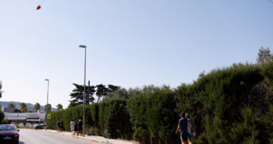 'Cooked alive': Europe's wildfires hit tourism spots and forests