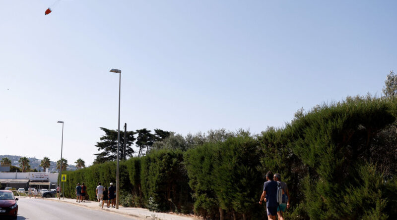 'Cooked alive': Europe's wildfires hit tourism spots and forests
