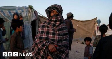 Afghan whose details were in UK data breach at risk from Taliban if deported, son tells BBC