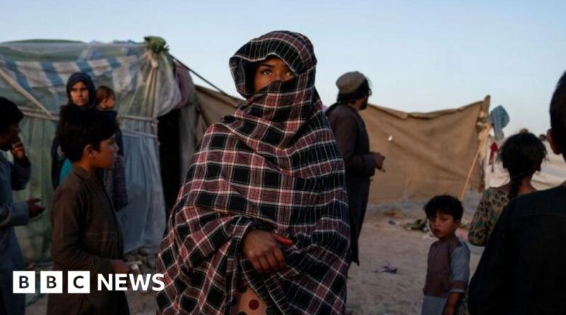 Afghan whose details were in UK data breach at risk from Taliban if deported, son tells BBC