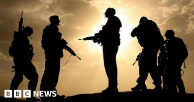 Afghans resettled in UK affected by new MoD data breach