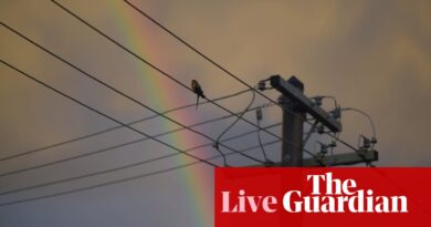 Australia news live: major flood in Gunnedah as SES issues warnings for central coast; police reveal Gaza march fears
