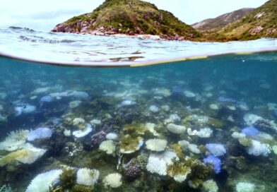 Australia’s Great Barrier Reef hit by record bleaching as oceans warm