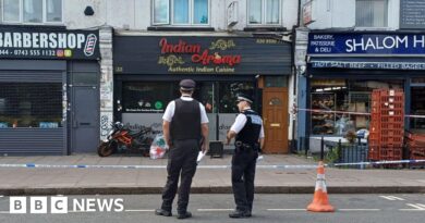 Boy and man arrested over Gants Hill restaurant 'arson attack'