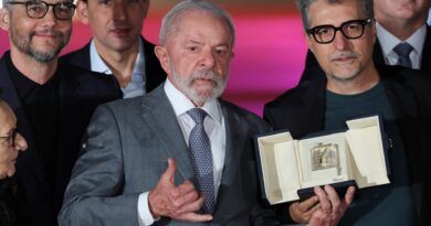 Brazil’s Lula vetoes large parts of environmental ‘devastation bill’