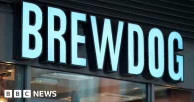 BrewDog ad banned for implying beer beats boredom and loneliness