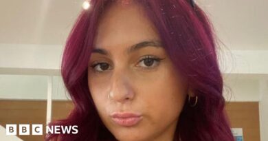 British woman pleads guilty to killing man while drunk on e-scooter