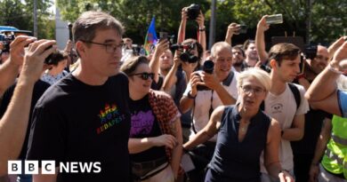 Budapest mayor questioned over organising banned pride march
