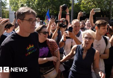 Budapest mayor questioned over organising banned pride march
