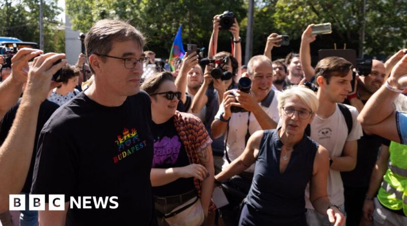 Budapest mayor questioned over organising banned pride march