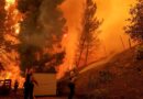 Canyon Fire: Evacuation Orders Issued In Parts Of Ventura And LA Counties