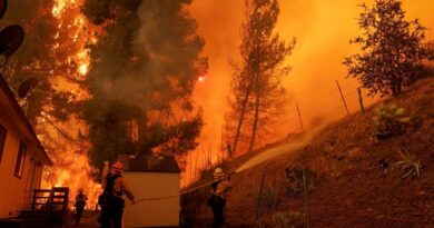 Canyon Fire: Evacuation Orders Issued In Parts Of Ventura And LA Counties