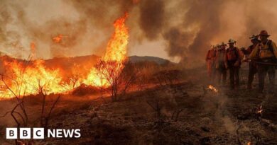 Canyon Fire prompts thousands of evacuations in California