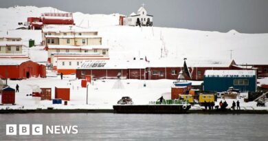 Charges dropped against teen pilot detained in Antarctica