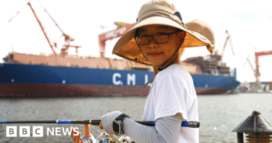 China's huge navy is expanding at breakneck speed - will it rule the waves?