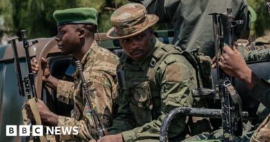DR Congo conflict: M23 rebels killed 40 civilians despite peace process, Human Rights Watch says