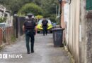 Downpatrick: Murder inquiry launched after man's death