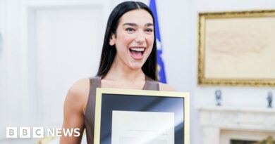 Dua Lipa given Kosovo citizenship by president