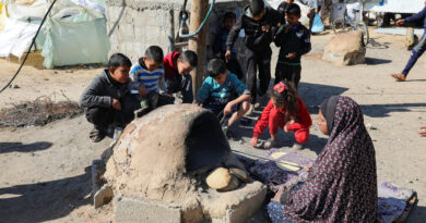 EU ministers split over Gaza in Copenhagen meeting