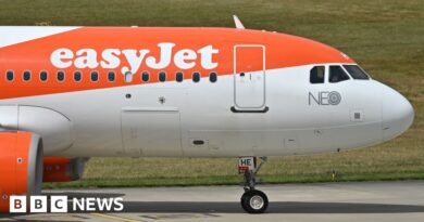 EasyJet captain suspended after getting 'drunk and naked' in hotel