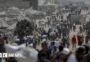 Eleven more die from malnutrition in Gaza, Hamas-run health ministry says