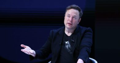 Elon Musk says he wants to 'simulate' Microsoft 'purely' with AI. He's calling it 'Macrohard.'