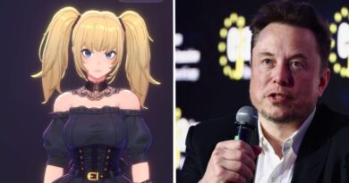 Elon Musk's xAI empire is leaning into NSFW content. It's a risky move that could pay off.