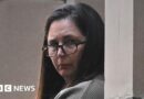 Erin Patterson: Allegations mushroom murderer tried to kill her husband aired
