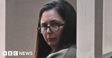 Erin Patterson: Allegations mushroom murderer tried to kill her husband aired
