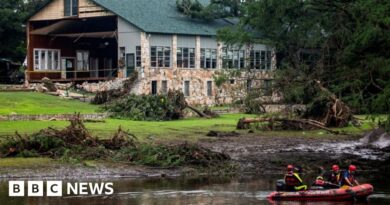Fema suspends workers who criticised Trump cuts, US media reports say