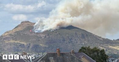 Firefighters tackle large blaze on Arthur's Seat in Edinburgh
