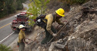 Firefighters tackling wildfire in US arrested by immigration agents