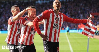 Sunderland flag