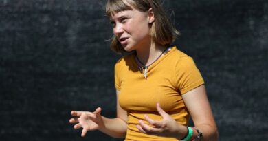 Gaza aid flotilla 'should not have to exist' says Thunberg