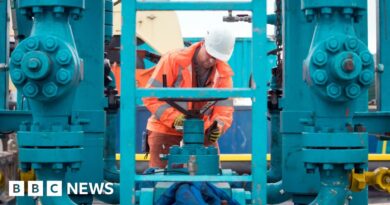 Get ready for fracking, Reform UK tells energy firms