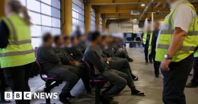 Government plans to overhaul asylum appeals system