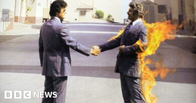 Hollywood stuntman set on fire for Pink Floyd cover dies aged 88