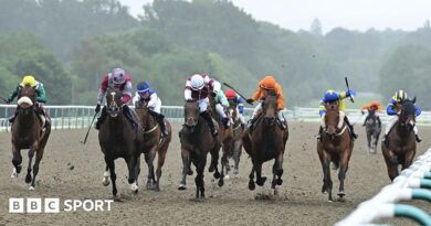Racing at Lingfield Park