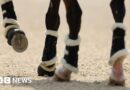 Horse rider dies after fall during Northamptonshire event