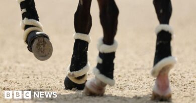 Horse rider dies after fall during Northamptonshire event