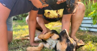 I didn't want my son to overdose on screen time this summer, so we're fostering a puppy. He's learning responsibility and time management.