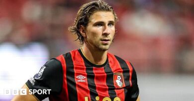 Bournemouth defender Illia Zabarnyi